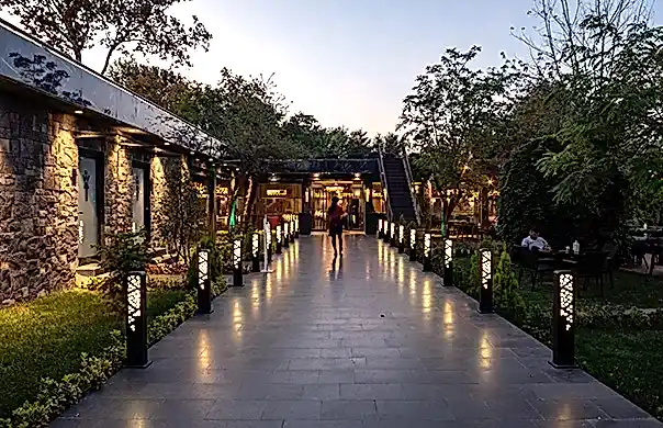 restaurant tasarımları
